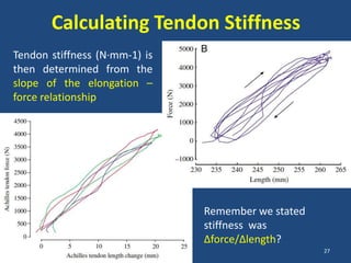 Calculating Tendon Stiffness
Tendon stiffness (N·mm-1) is
then determined from the
slope of the elongation –
force relationship




                               Remember we stated
                               stiffness was
                               ∆force/∆length?
                                                    27
 