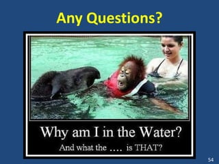 Any Questions?




                 54
 