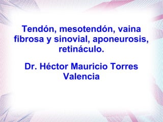 Tendón, mesotendón, vaina
fibrosa y sinovial, aponeurosis,
retináculo.
Dr. Héctor Mauricio Torres
Valencia
 