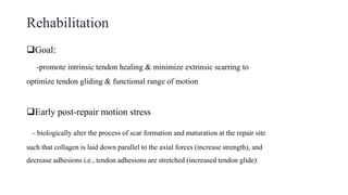 Rehabilitation
Goal:
-promote intrinsic tendon healing & minimize extrinsic scarring to
optimize tendon gliding & functional range of motion
Early post-repair motion stress
– biologically alter the process of scar formation and maturation at the repair site
such that collagen is laid down parallel to the axial forces (increase strength), and
decrease adhesions i.e., tendon adhesions are stretched (increased tendon glide)
 