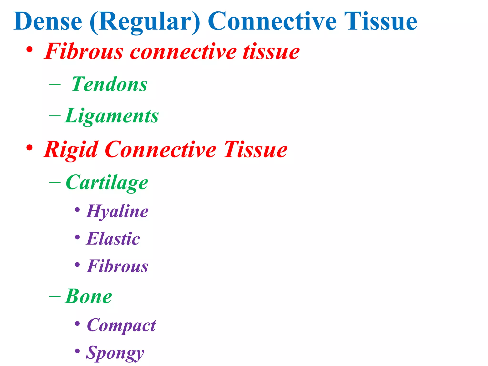 Dense (Regular) Connective Tissue Fibrous connective tissue Tendons Ligaments Rigid Connective Tissue Cartilage Hyaline Elastic Fibrous Bone Compact Spongy