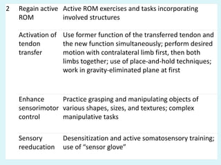 2 Regain active
ROM
Active ROM exercises and tasks incorporating
involved structures
Activation of
tendon
transfer
Use former function of the transferred tendon and
the new function simultaneously; perform desired
motion with contralateral limb first, then both
limbs together; use of place-and-hold techniques;
work in gravity-eliminated plane at first
Enhance
sensorimotor
control
Practice grasping and manipulating objects of
various shapes, sizes, and textures; complex
manipulative tasks
Sensory
reeducation
Desensitization and active somatosensory training;
use of “sensor glove”
 