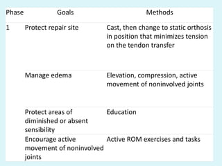 Phase Goals Methods
1 Protect repair site Cast, then change to static orthosis
in position that minimizes tension
on the tendon transfer
Manage edema Elevation, compression, active
movement of noninvolved joints
Protect areas of
diminished or absent
sensibility
Education
Encourage active
movement of noninvolved
joints
Active ROM exercises and tasks
 