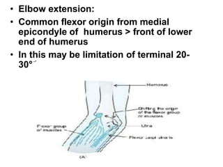 • Elbow extension:
• Common flexor origin from medial
epicondyle of humerus > front of lower
end of humerus
• In this may be limitation of terminal 20-
30° of elbow ext.
 
