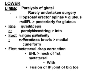 LOWER
LIMB:
• Hip:
.
Paralysis of glutei
Rarely undertaken surgery
• Iliopsoas/ erector spinae > gluteus
max.
• TFL > posteriorly for gluteus
med.
• Kne
e:
quadriceps
paralysis
• Hamstring > into
patella
• Foot
:
valgus deformity
correction
• Peroneus bravis > medial
cuneiform
• First metatarsal drop correction
• EHL > neck of 1st
metatarsal
• With
• Fusion of IP joint of big toe
 