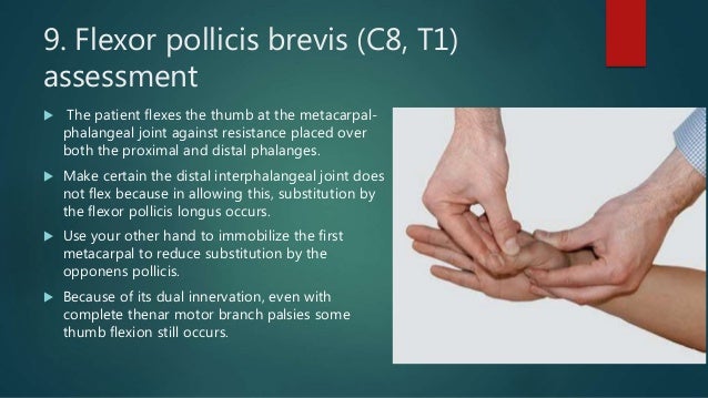 MEDIAN NERVE PALSY AND TENDON TRANSFERS