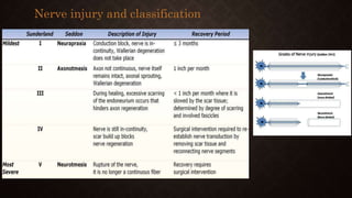 Nerve injury and classification
 