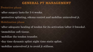 GENERAL PT MANAGEMENT
Protective phase
-after surgery lasts for 3-4 weeks.
-protective splinting, edema control and mobilize uninvolved jt.
Mobilization phase
-after adequate healing of tendon for its activation (after 3-5weeks).
-immobilize soft tissue.
-mobilize the tendon transfer.
-day time dynamic splint night time static splint.
-mobilize uninvolved jt to avoid jt stifness.
 