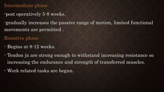 Intermediate phase
-post operatively 5-8 weeks.
-gradually increases the passive range of motion, limited functional
movements are permitted .
Resistive phase
- Begins at 8-12 weeks.
- Tendon jn are strong enough to withstand increasing resistance so
increasing the endurance and strength of transferred muscles.
- Work related tasks are begun.
 