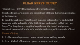 ULNAR NERVE INJURY
• Spinal root – C8-T1(medial cord of brachial plexus )
Supplies flexor carpi ularis and medial half of flexor digitorum profundus
in the forearm.
In hand through superficial branch supplies palamis brevis and digital
branches to the volarside of the little finger and medial half of the ring
finger.The deep branch supplies hypothenar, the dorsal and palmar
introseei, two medial lumbricals and the adductor pollicis muscle of hand.
Causes of injury
1. Axilla – crutch pressure , aneurysm of weak axillary vessels
2. Arm - # shaft of humerus , penetration gun shot injury
 