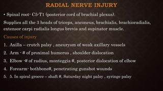 RADIAL NERVE INJURY
• Spinal root- C5-T1 (posterior cord of brachial plexus).
Supplies all the 3 heads of triceps, anconeus, brachialis, brachioradialis,
extensor carpi radialis longus brevis and supinator muscle.
Causes of injury
1. Axilla – crutch palsy , aneurysm of weak axillary vessels
2. Arm - # of proximal humerus , shoulder dislocation
3. Elbow -# of radius, monteggia #, posterior dislocation of elbow
4. Forearm- bothbone#, penetrating gunshot wounds
5. 5. In spiral groove – shaft #, Saturday night palsy , syringe palsy
 