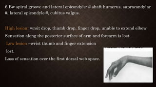 6.Bw spiral groove and lateral epicondyle- # shaft humerus, supracondylar
#, lateral epicondyle #, cubitus valgus.
High lesion- wrsit drop, thumb drop, finger drop, unable to extend elbow
Sensation along the posterior surface of arm and forearm is lost.
Low lesion –wrist thumb and finger extension
lost.
Loss of sensation over the first dorsal web space.
 