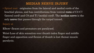 MEDIAN NERVE INJURY
• Spinal root- originates from the lateral and medial cords of the
brachial plexus, and has contributions from ventral roots of C5-C7
(lateral cord) and C8 and T1 (medial cord). The median nerve is the
only nerve that passes through the carpal tunnel.
Injury at
Elbow- flexors and pronators are paralysed.
Wrist-Loss of skin sensation over thumb index finger and middle
finger and opposition and flexion of thumb is lost thenar muscle
paralysis.
 