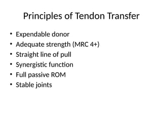 Comprehensive Principles and Techniques of Tendon and Nerve Transfers ...