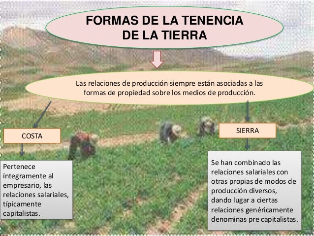 Tenencia de la tierra