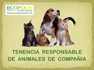 TENENCIA RESPONSABLE
DE ANIMALES DE COMPAÑIA
 