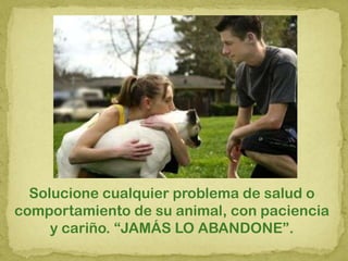 Solucione cualquier problema de salud o
comportamiento de su animal, con paciencia
y cariño. “JAMÁS LO ABANDONE”.
 