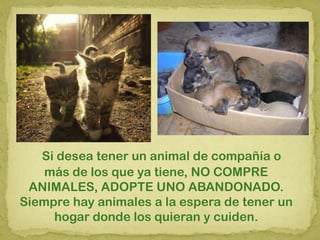 Si desea tener un animal de compañía o
más de los que ya tiene, NO COMPRE
ANIMALES, ADOPTE UNO ABANDONADO.
Siempre hay animales a la espera de tener un
hogar donde los quieran y cuiden.
 