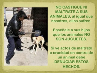NO CASTIGUE NI
MALTRATE A SUS
ANIMALES, al igual que
nosotros, ellos sufren.
Enséñele a sus hijos
que los animales NO
SON JUGUETES.
Si ve actos de maltrato
o crueldad en contra de
un animal debe
DENUCIAR ESTOS
HECHOS.
 