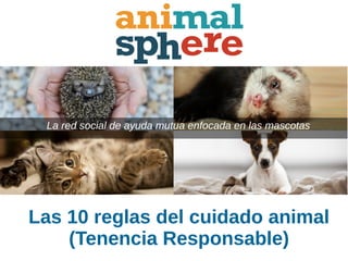 Las 10 reglas del cuidado animal
(Tenencia Responsable)
La red social de ayuda mutua enfocada en las mascotas
 