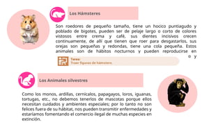 Los Hámsteres
Son roedores de pequeño tamaño, tiene un hocico puntiagudo y
poblado de bigotes, pueden ser de pelaje largo o corto de colores
vistosos entre crema y café, sus dientes incisivos crecen
continuamente, de allí que tienen que roer para desgastarlos, sus
orejas son pequeñas y redondas, tiene una cola pequeña. Estos
animales son de hábitos nocturnos y pueden reproducirse en
cautiverio. Son de carácter afectuoso, comprensivo, simpático y
cariñosos.
Los Animales silvestres
Como los monos, ardillas, cernícalos, papagayos, loros, iguanas,
tortugas, etc., no debemos tenerlos de mascotas porque ellos
necesitan cuidados y ambientes especiales; por lo tanto no son
felices fuera de su hábitat, nos pueden transmitir enfermedades y
estaríamos fomentando el comercio ilegal de muchas especies en
extinción.
 
