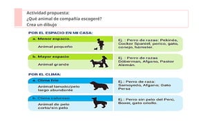 Actividad propuesta:
¿Qué animal de compañía escogeré?
Crea un dibujo
 