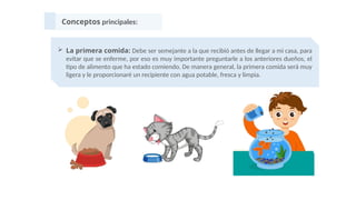Conceptos principales:
 La primera comida: Debe ser semejante a la que recibió antes de llegar a mi casa, para
evitar que se enferme, por eso es muy importante preguntarle a los anteriores dueños, el
tipo de alimento que ha estado comiendo. De manera general, la primera comida será muy
ligera y le proporcionaré un recipiente con agua potable, fresca y limpia.
 