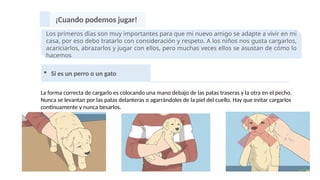 ¡Cuando podemos jugar!
Los primeros días son muy importantes para que mi nuevo amigo se adapte a vivir en mi
casa, por eso debo tratarlo con consideración y respeto. A los niños nos gusta cargarlos,
acariciarlos, abrazarlos y jugar con ellos, pero muchas veces ellos se asustan de cómo lo
hacemos
 Si es un perro o un gato
La forma correcta de cargarlo es colocando una mano debajo de las patas traseras y la otra en el pecho.
Nunca se levantan por las patas delanteras o agarrándoles de la piel del cuello. Hay que evitar cargarlos
continuamente y nunca besarlos.
 