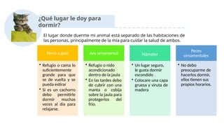 ¿Qué lugar le doy para
dormir?
El lugar donde duerme mi animal está separado de las habitaciones de
las personas, principalmente de la mía para cuidar la salud de ambos.
Perro o gato
• Refugio o cama lo
suficientemente
grande para que
se de vuelta y se
pueda estirar
• Si es un cachorro
debo permitirle
dormir muchas
veces al día para
relajarse.
Ave ornamental
• Refugio o nido
acondicionado
dentro de la jaula
• En las tardes debo
de cubrir con una
manta o cobija
sobre la jaula para
protegerlos del
frio.
Hámster
• Un lugar seguro,
le gusta dormir
escondido
• Colocare una capa
gruesa y viruta de
madera
Peces
ornamentales
• No debo
preocuparme de
hacerlos dormir,
ellos tienen sus
propios horarios.
 