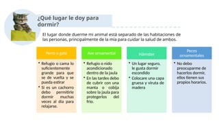 ¿Qué lugar le doy para
dormir?
El lugar donde duerme mi animal está separado de las habitaciones de
las personas, principalmente de la mía para cuidar la salud de ambos.
Perro o gato
• Refugio o cama lo
suficientemente
grande para que
se de vuelta y se
pueda estirar
• Si es un cachorro
debo permitirle
dormir muchas
veces al día para
relajarse.
Ave ornamental
• Refugio o nido
acondicionado
dentro de la jaula
• En las tardes debo
de cubrir con una
manta o cobija
sobre la jaula para
protegerlos del
frio.
Hámster
• Un lugar seguro,
le gusta dormir
escondido
• Colocare una capa
gruesa y viruta de
madera
Peces
ornamentales
• No debo
preocuparme de
hacerlos dormir,
ellos tienen sus
propios horarios.
 