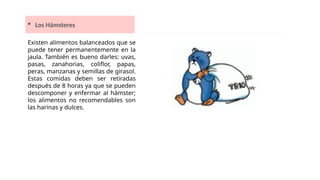  Los Hámsteres
Existen alimentos balanceados que se
puede tener permanentemente en la
jaula. También es bueno darles: uvas,
pasas, zanahorias, coliflor, papas,
peras, manzanas y semillas de girasol.
Estas comidas deben ser retiradas
después de 8 horas ya que se pueden
descomponer y enfermar al hámster;
los alimentos no recomendables son
las harinas y dulces.
 