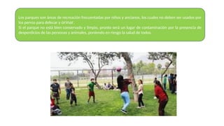 Los parques son áreas de recreación frecuentadas por niños y ancianos, los cuales no deben ser usados por
los perros para defecar y orinar.
Si el parque no está bien conservado y limpio, pronto será un lugar de contaminación por la presencia de
desperdicios de las personas y animales, poniendo en riesgo la salud de todos.
 
