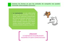 Conocer las formas en que los animales de compañía nos pueden
transmitir enfermedades (zoonosis)
o La Leptospirosis es una enfermedad
que puede ser transmitida a través de
aguas, suelo y alimentos contaminados
por orina de animales infectados. Si mi
animal se enfermó de leptospirosis
tendrá variados síntomas como fiebre,
vómito, ictericia (piel amarilla) y otros.
Nosotros también podemos enfermar.
 