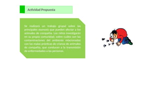 Actividad Propuesta
Se realizará un trabajo grupal sobre las
principales zoonosis que pueden afectar a los
animales de compañía. Los niños investigarán
en su propia comunidad, sobre cuáles son las
contaminaciones del ambiente relacionadas
con las malas prácticas de crianza de animales
de compañía, que conducen a la transmisión
de enfermedades a las personas.
 