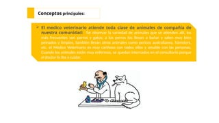 Conceptos principales:
 El medico veterinario atiende toda clase de animales de compañía de
nuestra comunidad: Se observar la variedad de animales que se atienden allí, los
más frecuentes son perros y gatos; a los perros los llevan a bañar y salen muy bien
peinados y limpios, también llevan otros animales como pericos australianos, hámsters,
etc. el Médico Veterinario es muy cariñoso con todos ellos y amable con las personas.
Cuando los animales están muy enfermos, se quedan internados en el consultorio porque
el doctor lo iba a cuidar.
 