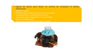  Signos de alerta para llevar un animal de compañía al Medico
Veterinario:
o Pérdida de apetito.
o Pérdida de alegría (quiere estar acostado o está quieto).
o Mucosidad blanca o verde lechosa en la nariz.
o Excremento suelto, sanguinolento o con mucosidad.
o Vómito. l Pérdida de peso.
o Rechazo de su rutina habitual de juegos o paseos.
 