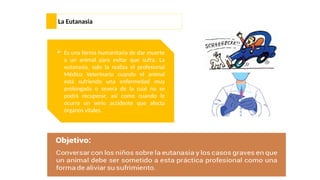 La Eutanasia
 Es una forma humanitaria de dar muerte
a un animal para evitar que sufra. La
eutanasia, solo la realiza el profesional
Médico Veterinario cuando el animal
está sufriendo una enfermedad muy
prolongada o severa de la cual no se
podrá recuperar, así como cuando le
ocurre un serio accidente que afecta
órganos vitales.
 