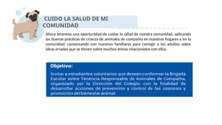 CUIDO LA SALUD DE MI
COMUNIDAD
Ahora tenemos una oportunidad de cuidar la salud de nuestra comunidad, aplicando
las buenas prácticas de crianza de animales de compañía en nuestros hogares y en la
comunidad, conversando con nuestros familiares para corregir a los adultos sobre
ideas erradas que se tienen sobre muchos temas relacionados con ellos.
 