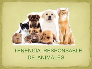 TENENCIA RESPONSABLE
DE ANIMALES
 