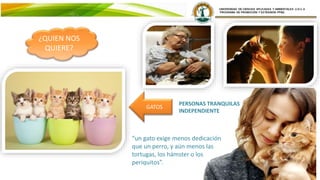 GATOS
QUIENES NOS QUIERE?
PERSONAS TRANQUILAS
INDEPENDIENTE
“un gato exige menos dedicación
que un perro, y aún menos las
tortugas, los hámster o los
periquitos”.
¿QUIEN NOS
QUIERE?
 