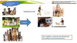 UNIVERSIDAD DE CIENCIAS APLICADAS Y AMBIENTALES U.D.C.A
PROGRAMA DE PROMOCIÓN Y EXTENSIÓN PP&E.
PERSONAS ACTIVAS
QUIENES NOS
QUIEREN?
PERROS
Son sociables y requieren más atención que
casi cualquier otro animal doméstico.
 