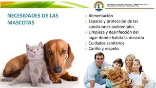 o Alimentación
o Espacio y protección de las
condiciones ambientales
o Limpieza y desinfección del
lugar donde habita la mascota
o Cuidados sanitarios
o Cariño y respeto
NECESIDADES DE LAS
MASCOTAS
 