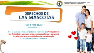 “LEY 84 DE 1989”
(Diciembre 27)
Por la cual se adopta el Estatuto Nacional de Protección de
los Animales y se crean unas contravenciones y se regula
lo referente a su procedimiento y competencia.
EL CONGRESO DE COLOMBIA
 