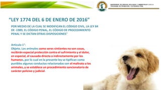 “LEY 1774 DEL 6 DE ENERO DE 2016”
POR MEDIO DE LA CUAL SE MODIFICAN EL CÓDIGO CIVIL, LA LEY 84
DE ·1989, EL CÓDIGO PENAL, EL CÓDIGO DE PROCEDIMIENTO
PENAL Y SE DICTAN OTRAS DISPOSICIONES"
Artículo 1°:
Objeto. Los animales como seres sintientes no son cosas,
recibirán especial protección contra el sufrimiento y el dolor,
en especial, el causado directa o indirectamente por los
humanos, por lo cual en la presente ley se tipifican como
punibles algunas conductas relacionadas con el maltrato a los
animales, y se establece un procedimiento sancionatorio de
carácter policivo y judicial.
 