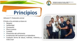 El trato a los animales se basa en:
 Respeto
 Solidaridad
 Compasión
 Ética y justicia
 Cuidado
 Prevención del sufrimiento
 Erradicación del cautiverio y el abandono
 Cualquier forma de abuso, maltrato, violencia, y
trato cruel
Artículo 3°: Protección animal
Principios
 