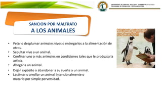 • Pelar o desplumar animales vivos o entregarlos a la alimentación de
otros.
• Sepultar vivo a un animal.
• Confinar uno o más animales en condiciones tales que le produzca la
asfixia.
• Ahogar a un animal.
SANCION POR MALTRATO
A LOS ANIMALES
• Dejar expósito o abandonar a su suerte a un animal.
• Lastimar o arrollar un animal intencionalmente o
matarlo por simple perversidad.
 