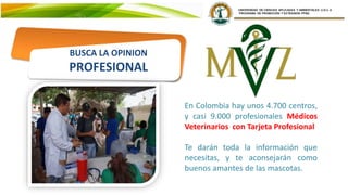 BUSCA LA OPINION
PROFESIONAL
En Colombia hay unos 4.700 centros,
y casi 9.000 profesionales Médicos
Veterinarios con Tarjeta Profesional
Te darán toda la información que
necesitas, y te aconsejarán como
buenos amantes de las mascotas.
 