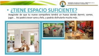 • ¿TIENE ESPACIO SUFICIENTE?
Asegúrate de que tu nuevo compañero tendrá un hueco donde dormir, comer,
jugar… Así podrá crecer sano y feliz, y podrás disfrutarlo mucho más.
 