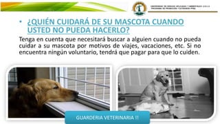 • ¿QUIÉN CUIDARÁ DE SU MASCOTA CUANDO
USTED NO PUEDA HACERLO?
Tenga en cuenta que necesitará buscar a alguien cuando no pueda
cuidar a su mascota por motivos de viajes, vacaciones, etc. Si no
encuentra ningún voluntario, tendrá que pagar para que lo cuiden.
GUARDERIA VETERINARIA !!
 