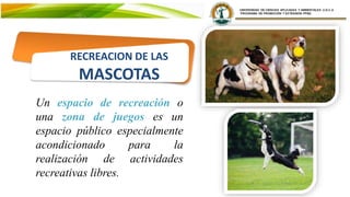 Un espacio de recreación o
una zona de juegos es un
espacio público especialmente
acondicionado para la
realización de actividades
recreativas libres.
RECREACION DE LAS
MASCOTAS
 